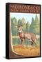 The Adirondacks, New York State - White Tailed Deer Buck-Lantern Press-Framed Stretched Canvas