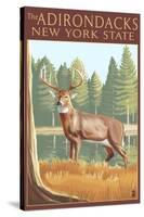 The Adirondacks, New York State - White Tailed Deer Buck-Lantern Press-Stretched Canvas