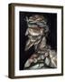 The Admiral-Giuseppe Arcimboldo-Framed Giclee Print