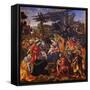 The Adoration of the Magi, 1496-Filippino Lippi-Framed Stretched Canvas