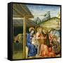The Adoration of the Magi, c.1460-Giovanni di Paolo di Grazia-Framed Stretched Canvas