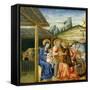 The Adoration of the Magi, c.1460-Giovanni di Paolo di Grazia-Framed Stretched Canvas