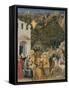 The Adoration of the Magi, C.1475-80-null-Framed Stretched Canvas