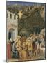 The Adoration of the Magi, C.1475-80-null-Mounted Giclee Print