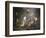 The Adoration of the Magii, Vincenzo Malo, 1605-1650, Vatican Museums, Rome, Italy-null-Framed Giclee Print