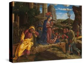 The Adoration of the Shepherds, c.1450-Andrea Mantegna-Stretched Canvas