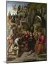 The Adoration of the Shepherds, C. 1496-Luca Signorelli-Mounted Giclee Print
