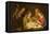The Adoration of the Shepherds, c.1635-1637-Matthias Stomer-Framed Stretched Canvas