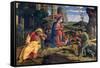 The Adoration of the Shepherds, C1450-Andrea Mantegna-Framed Stretched Canvas