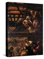 The Adoration of the Shepherds (Nativity)-Jacopo Robusti Tintoretto-Stretched Canvas