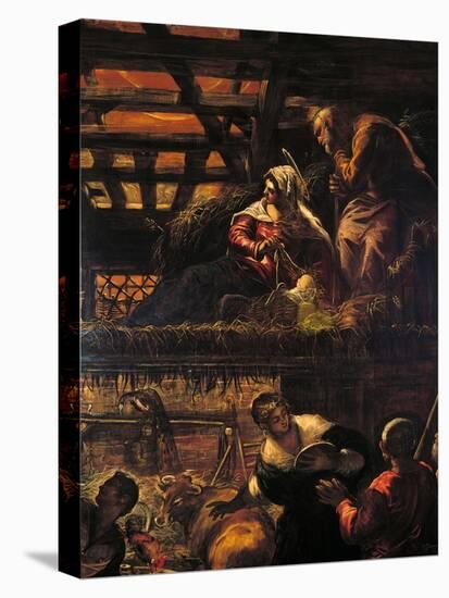 The Adoration of the Shepherds (Nativity)-Jacopo Robusti Tintoretto-Stretched Canvas