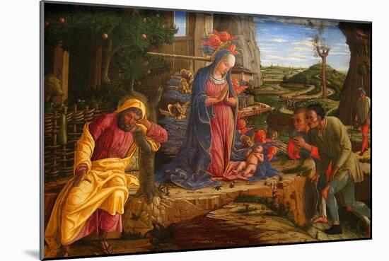 The Adoration of the Shepherds, Shortly after 1451-Andrea Mantegna-Mounted Art Print
