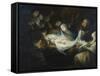 The Adoration of the Shepherds-Valerio Castello-Framed Stretched Canvas