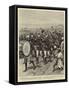 The Advance in the Soudan, the 9th Soudanese Welcoming the Camerons on their Arrival at Berber-Frank Dadd-Framed Stretched Canvas