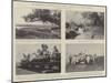 The Advance of Civilisation in East Africa, Scenes on the Uganda Railway-null-Mounted Giclee Print