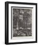 The Advance of Tasmania, Russell's Falls, Showing Average Flow of Water During Summer Season-null-Framed Giclee Print