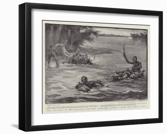 The Advance of the Kassala Garrison, Swimming Camels across the Atbara River-William T. Maud-Framed Giclee Print