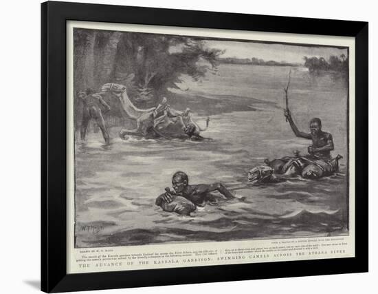 The Advance of the Kassala Garrison, Swimming Camels across the Atbara River-William T. Maud-Framed Giclee Print