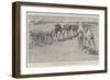 The Advance Towards Dongola, a Convoy Passing to the Front-Henry Charles Seppings Wright-Framed Giclee Print