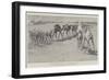 The Advance Towards Dongola, a Convoy Passing to the Front-Henry Charles Seppings Wright-Framed Giclee Print