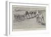 The Advance Towards Dongola, a Convoy Passing to the Front-Henry Charles Seppings Wright-Framed Giclee Print