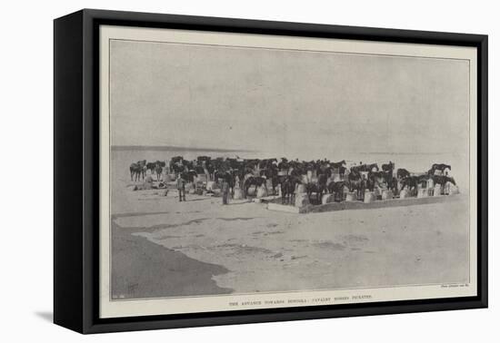 The Advance Towards Dongola, Cavalry Horses Picketed-null-Framed Stretched Canvas