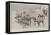 The Advance Towards Dongola, Watering the Camels-Cecil Aldin-Framed Stretched Canvas