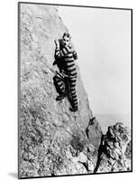 The Adventurer, 1917-null-Mounted Photographic Print