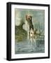 'The Adventures of Baron Munchausen'-Alphonse Adolphe Bichard-Framed Giclee Print