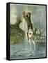 'The Adventures of Baron Munchausen'-Alphonse Adolphe Bichard-Framed Stretched Canvas