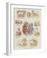 The Adventures of Pincher-Charles Burton Barber-Framed Giclee Print