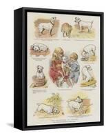 The Adventures of Pincher-Charles Burton Barber-Framed Stretched Canvas