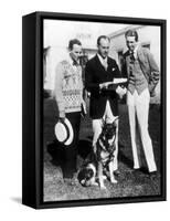 The Adventures of Rin Tin Tin-null-Framed Stretched Canvas