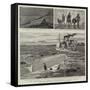 The Adventures of Special Correspondents on Active Service-Frederic Villiers-Framed Stretched Canvas