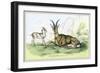 The Aegarus-John Stewart-Framed Art Print