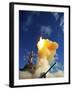 The Aegis-class Destroyer USS Hopper Launching a Standard Missile 3 Blk IA in Kauai, Hawaii.-Stocktrek Images-Framed Photographic Print