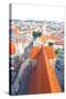 The Aerial View of Munich City Center-Gary718-Stretched Canvas