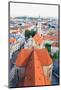 The Aerial View of Munich City Center-Gary718-Mounted Photographic Print