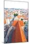 The Aerial View of Munich City Center-Gary718-Mounted Photographic Print