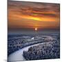 The Aerial View of Snow-Covered Winter Forest in Time Sundown on Christmas Eve.-Vladimir Melnikov-Mounted Photographic Print