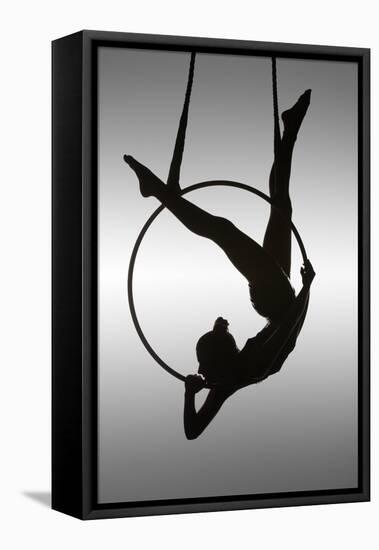 The Aerialist-David Naman-Framed Stretched Canvas