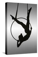 The Aerialist-David Naman-Stretched Canvas