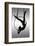 The Aerialist-David Naman-Framed Photographic Print