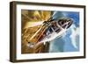 The Aerobatic Helicopter-Wilf Hardy-Framed Giclee Print