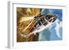 The Aerobatic Helicopter-Wilf Hardy-Framed Giclee Print