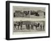 The Afghan Frontier Difficulty-null-Framed Giclee Print