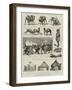 The Afghan Frontier Difficulty-null-Framed Giclee Print