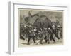 The Afghan War, an Elephant Battery Advancing to the Front-Joseph Nash-Framed Giclee Print