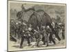 The Afghan War, an Elephant Battery Advancing to the Front-Joseph Nash-Mounted Giclee Print