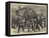 The Afghan War, an Elephant Battery Advancing to the Front-Joseph Nash-Framed Stretched Canvas